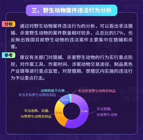 嘉诚信息技术股份有限公司 信息技术领域的领跑者
