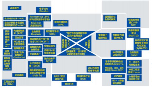 生物技术与信息技术融合 数字化生命科学的革命性变革